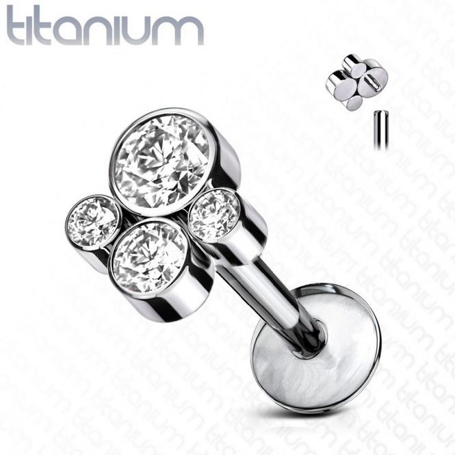 Huvudbild Paw Crystal Internally ...