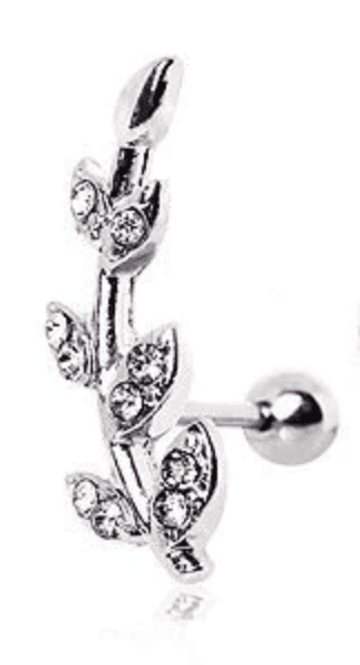 Hoofdbeeld Big Fairy Leaf Barbell 