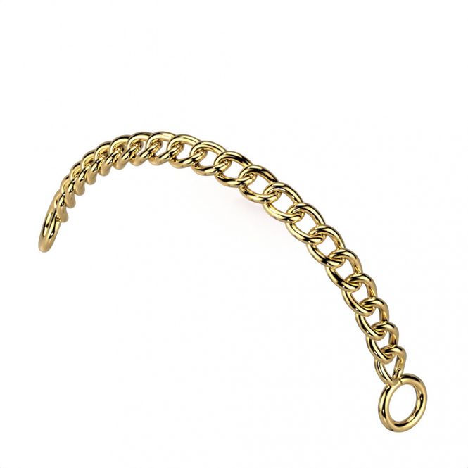 Hoofdbeeld Connector Chain Gold