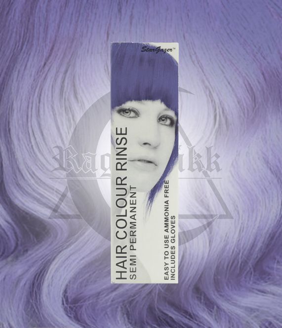 Hovedbilde Stargazer Lavender
