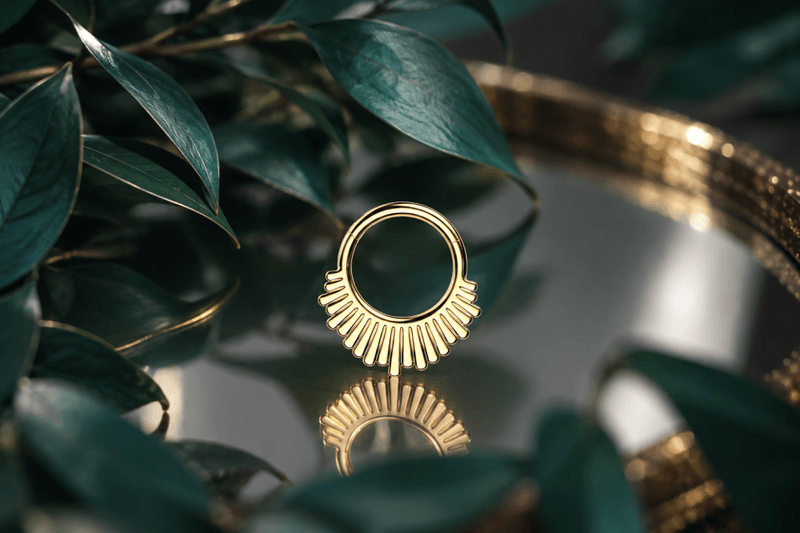 Rei Hinged Ring 
