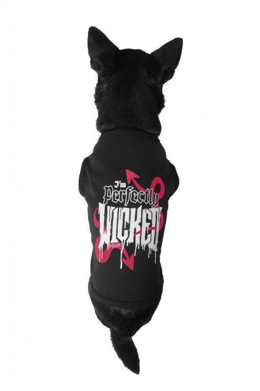 Wicked Pet Vest