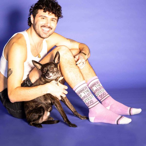 Hovedbilde Owner of the World's Cutest ...