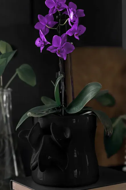 Hovedbilde Ossuary Planter
