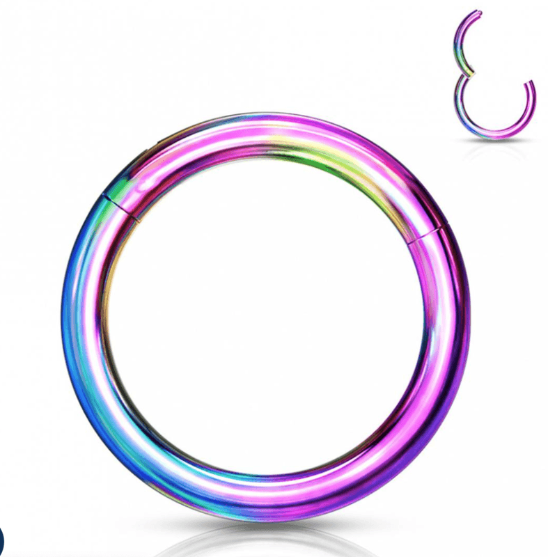1mm Hinged Segment Rings Rainbow
