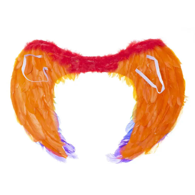 Rainbow Angel Wings