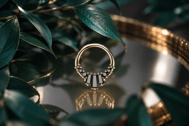Hovedbillede Denice Hinged Ring 