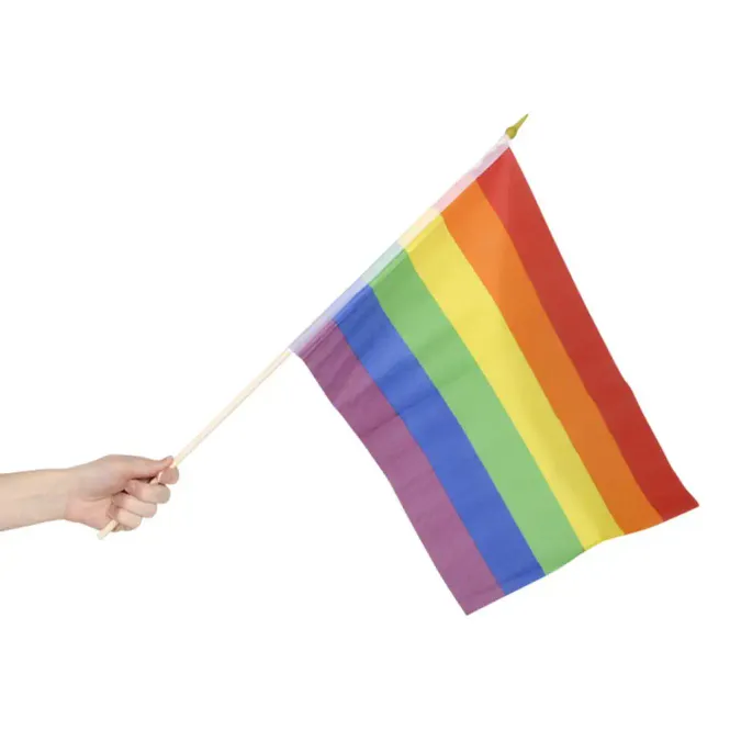 Hovedbilde Pride Flagg