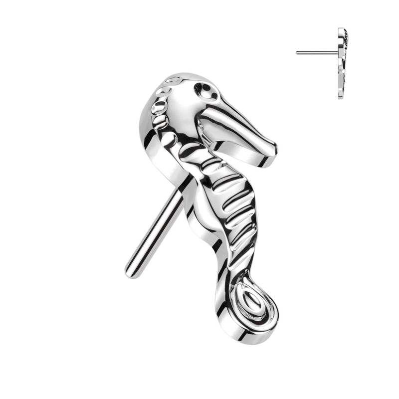Seahorse Push-fit